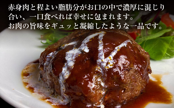 赤身焼肉店Wiz ビーフ100%ハンバーグ 10個 ソース付 日田市 / 株式会社OTOGINO [AREF117]