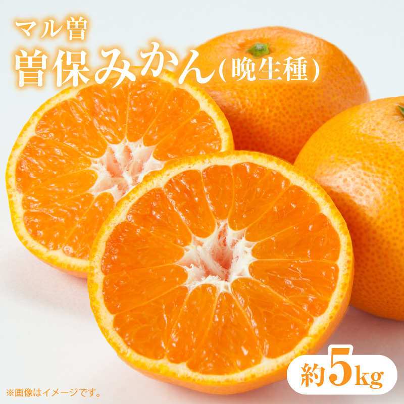M02-0084_【ふるさと納税】【マル曽】【配送不可地域：北海道・沖縄県・離島】曽保みかん (晩生種) 約5kg  秋 旬