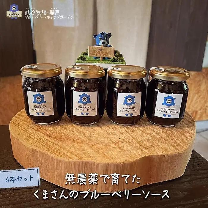【定期便 全4回】からだにやさしい　ゆふいんの牛乳・ベーグル・ブルーベリーソースなど～ゆふのワクワクセット（２）～