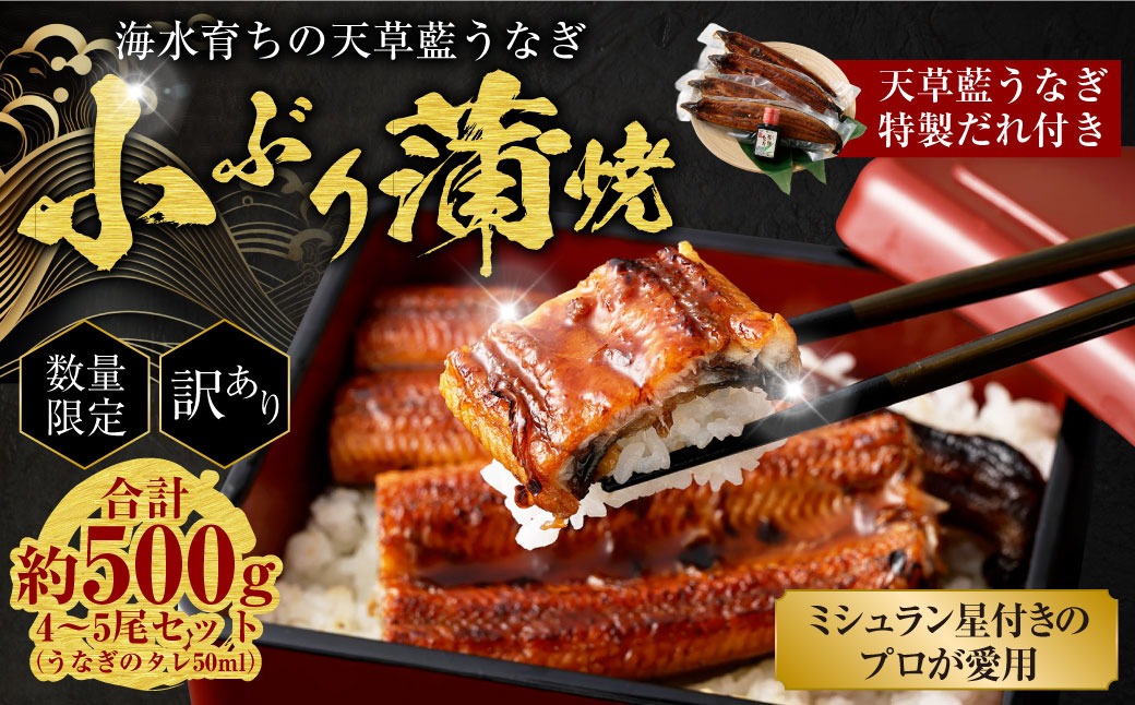 【数量限定】 【訳あり】 【ミシュラン星付きのプロが愛用】海水育ちの 天草 藍うなぎ 小ぶり 蒲焼 500g（4～5尾）  養殖期間中 無投薬 鰻 ウナギ うなぎ うなぎ蒲焼 鰻の蒲焼 国産