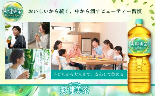『定期便：全3回』爽健美茶2000mlPET×6本