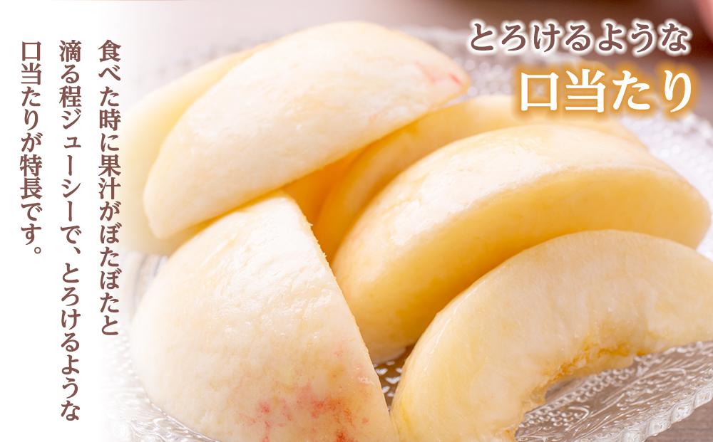 和歌山県産 白鳳 桃 5～8玉入り 秀品 先行予約【2025年6月下旬以降発送】【MG6】