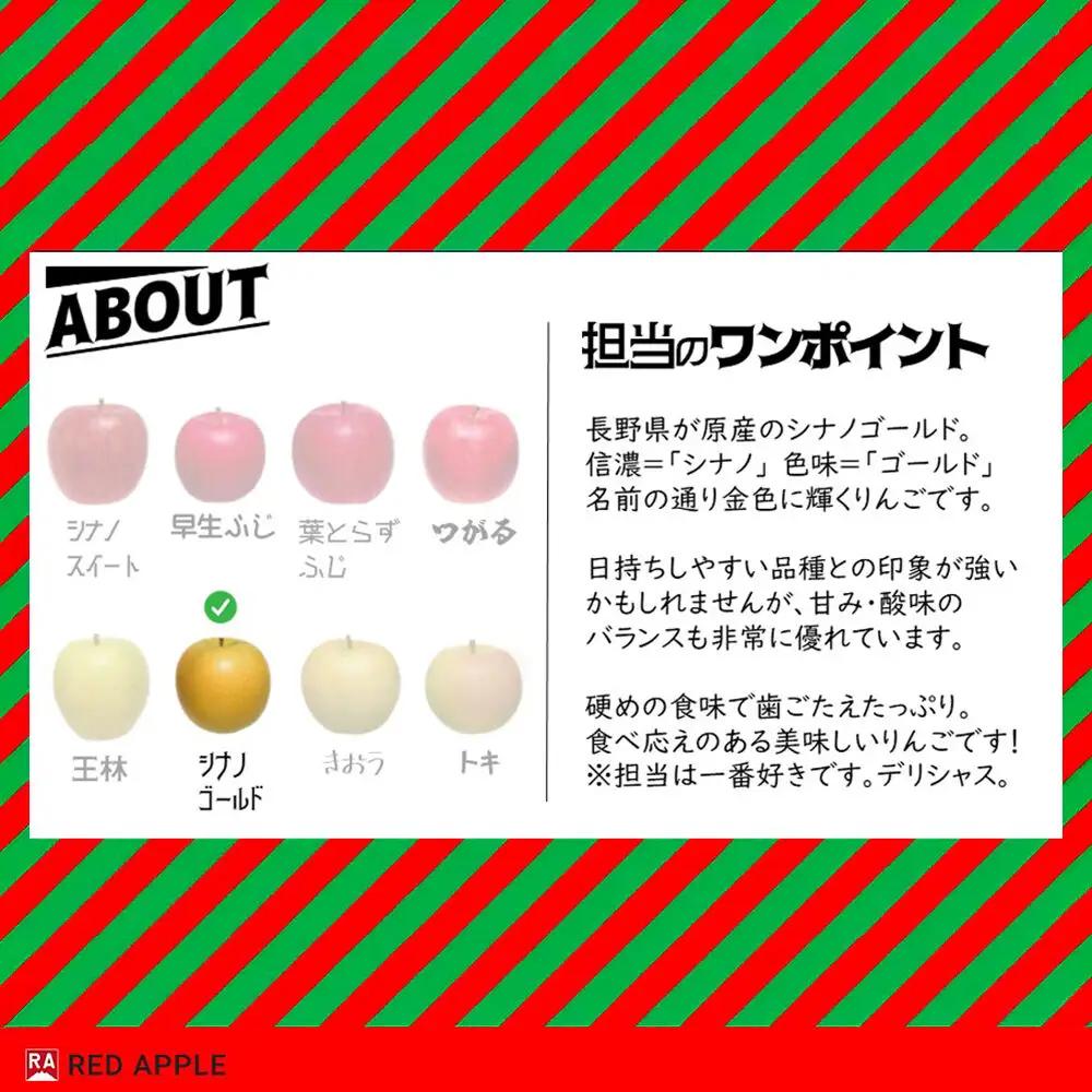 【26年11月～発送】りんご【訳あり】家庭用 シナノゴールド 約10kg 先行受付