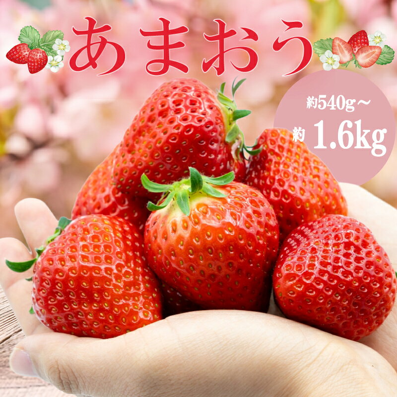 【ふるさと納税】 【1-2月より発送予定】 あまおう約270g×2-6パック グランデ いちご 苺 冷蔵 イチゴ フルーツ 果物 くだもの 春 旬 小分け 福岡県産 苺 あまおう 1kg以上 スイーツ 数量限定 期間限定 特産品 デザート 川崎町福岡 九州 福岡県 川崎町