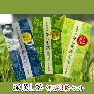 【ふるさと納税】特選さしま茶 100g入り 3袋 お茶