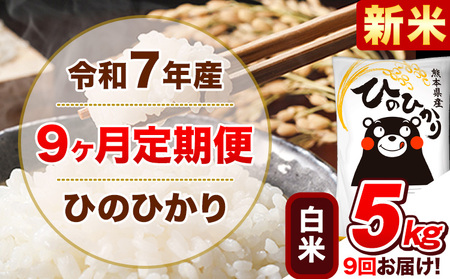 新米 令和7年産【9ヵ月定期便】白米 ひのひかり 計9回お届け 5kg 5kg×1袋《お申込み翌月から出荷》 熊本県産 精米 ひの 米 こめ ヒノヒカリ コメ お米 津奈木