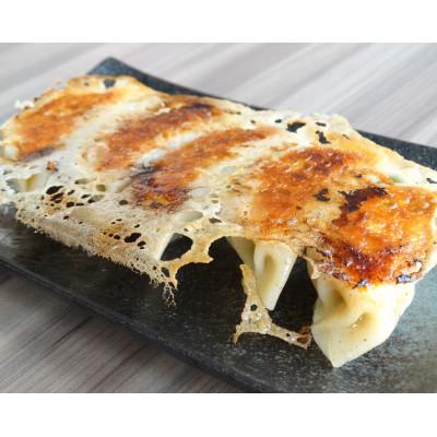 ふるさと納税 藤沢市 藤沢ブランド『みやじ豚』使用の肉汁飛び出す『みやじ豚の金ぎょうざ』(ニンニク入り特製ぎょうざ)