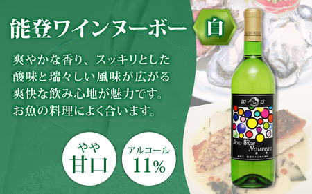 【先行予約】期間限定！ 能登ワインヌーボー２本セット / わいん ワイン 赤 白 能登ワイン 奥能登 能登半島 牡蠣 かき 熟成 ぶどう ブドウ 葡萄 送料無料