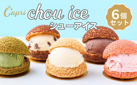 シューアイス GIFT BOX 6個セット　シュークリーム チョコ バニラ アイス お菓子 個包装 おやつ デザート スイーツ かわいい スウィーツ 洋菓子 小分け 一人暮らし 大人気 お取り寄せグル