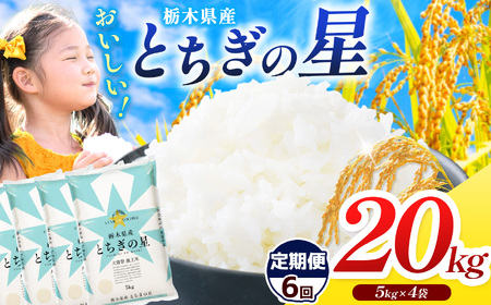 【定期便6回】とちぎの星 5kg×4 (20kg) 