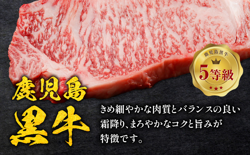 鹿児島黒牛サーロインステーキ 計600g（A-101）　C069-002