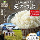 【ふるさと納税】《選べる容量》【米の定期便】福島県鏡石町産 和田農園「天のつぶ」精米《5kg 10kg》 6か月連続 F6Q-199var