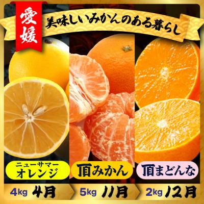 ふるさと納税 八幡浜市 【発送月固定定期便】美味しい柑橘【みかん・まどんな・ニューサマーオレンジ】【G31-44】全3回 |  | 01