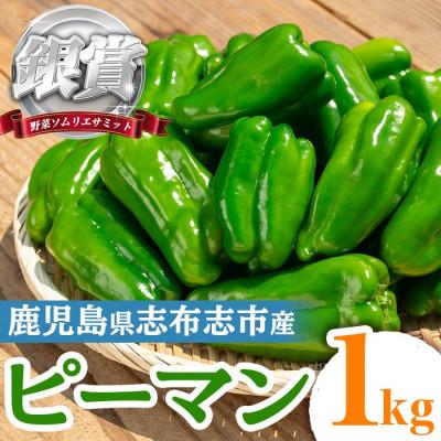 ふるさと納税 志布志市 志布志産ピーマン(1kg)【野菜ソムリエサミット銀賞受賞!】