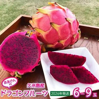 【2027年発送】本永さんの久米島産ドラゴンフルーツ 赤6～9玉（2.3kg以上）