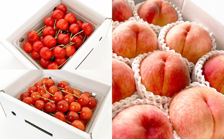 【定期便6回】山形の農家さんが選ぶ！美味しいものスペシャル便【令和8年産先行予約】FS25-107