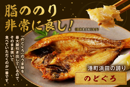 山陰浜田 香住屋のこだわり干物「社長のお任せセット」 魚介類 魚貝類 魚 干物 一夜干し セット 詰め合わせ 【948】