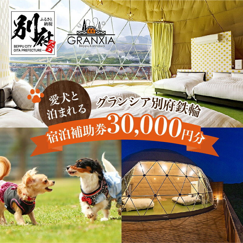 【ふるさと納税】 レビューキャンペーン 大分県 別府市 グランシア別府鉄輪 宿泊補助券 30,000円分 旅行 観光 宿泊 グランピング ドームテント 温泉 アウトドア 地獄蒸し 体験 BBQ ドッグラン ペット可 グループ旅行 家族旅行 記念日 冷暖房完備 ご褒美 送料無料