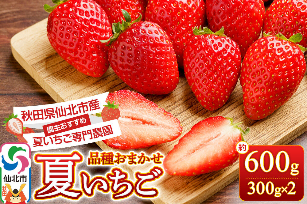 《近畿以北限定》 夏イチゴ専門農園の園主おすすめ！ 仙北市産 夏イチゴ 約600g（約300g×2パック） [苺 イチゴ いちご ブランド 品種 銘柄 なつあかり 夏のしずく 希少品種 ケーキ ジャム