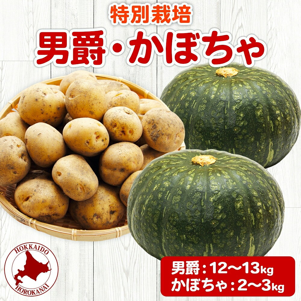 【ふるさと納税】北海道 じゃがいも 男爵 かぼちゃ計約15kg 詰め合わせ ジャガイモ カボチャ だんしゃくポテト 農作物 ホクホク 甘い お取り寄せ 産地直送 北海道産 畑農場 幌加内　お届け：2026年10月初旬～11月中旬までお届け