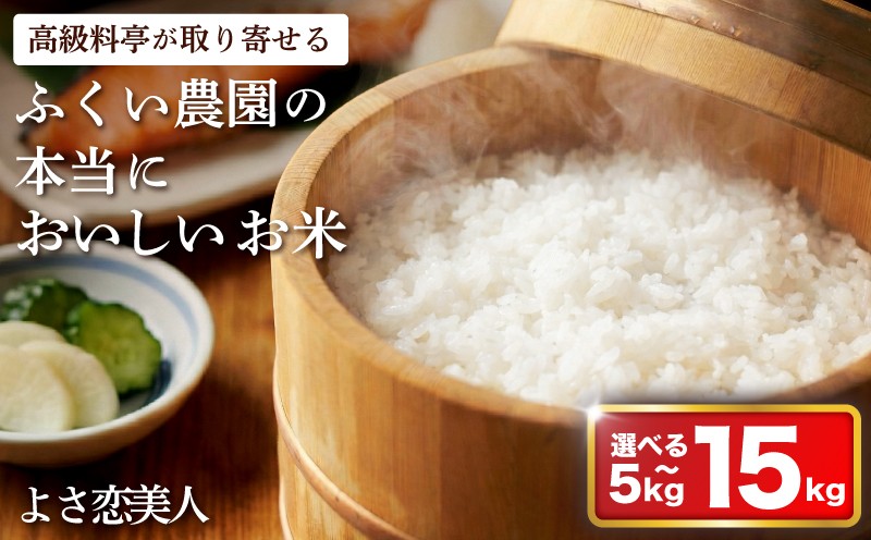 
                  【 先行予約】令和8年産米  新米 よさ恋美人 5kg 10kg 15kg 米白米 精米 選べる えらべる ふるさと よさこい美人 おこめ お米 ブランド米 ふるさと納税 低温 貯蔵 有機質 肥料 産地直送 農家直送 R8 2026年産 高知県 宿毛市
                