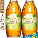 【ふるさと納税】THE CHOYA 大地の梅 700ml × 2本 羽曳野商工振興株式会社《30日以内に出荷予定(土日祝除く)》大阪府 羽曳野市 送料無料 梅酒 梅 酒 CHOYA チョーヤ チョーヤ梅酒 お酒 本格梅酒 オーガニック