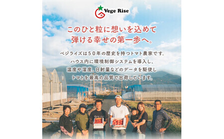 ミニトマト 生産量 日本一 玉名市 !！ 「 トマ・ランタン 」 約 600g |  ミニトマト トマト 熊本県 玉名市