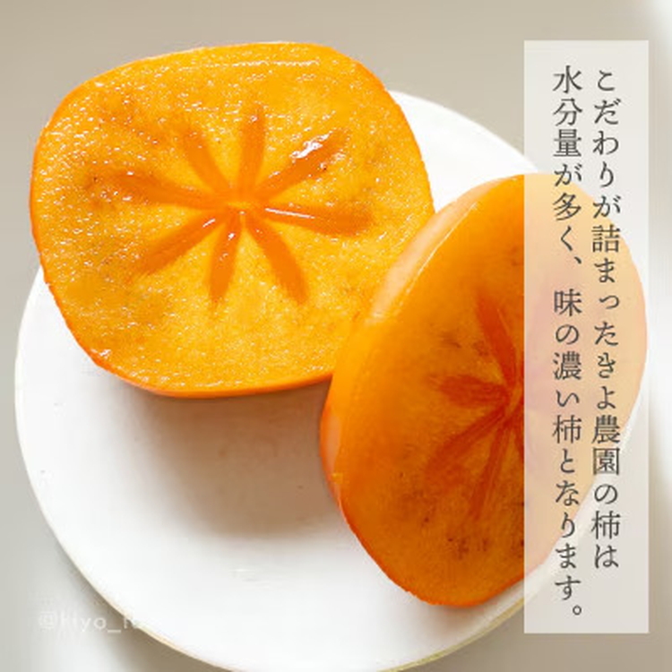 先行受付　柿(種無し)　赤秀品大玉　6個入　約1.8kg ※2025年9月下旬～10月下旬頃に順次発送予定 ※離島への配送不可