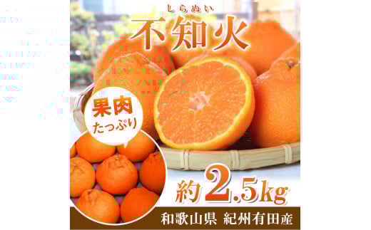 【先行予約】紀州有田産不知火(しらぬひ) 約2.5kg / みかん 不知火 和歌山 フルーツ 有田【2026年2月中旬頃〜2026年3月中旬頃に順次発送予定（お届け日指定不可）】