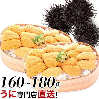ふるさと納税 根室市 ムラサキウニ80g〜90g×2P A-06001