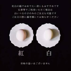 【紅白つるの子】西岡菓子舗のつるの子 幻の愛媛銘菓 12個入 | お菓子 和菓子 贈答用 ギフト お土産 菓子 おかし 熨斗 愛媛県 松山市【NOK0013】