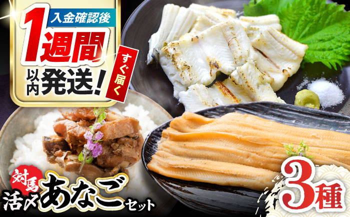 対馬 産 活〆 あなご セット《対馬市》【対馬地域商社】九州 長崎 煮あなご 佃煮 アナゴ [WAC001]冷凍 新鮮 あなご 穴子 下処理 寿司 あなご重 天ぷら おかず もう1品 おつまみ おにぎり ちらし寿司 海鮮 魚介 長崎 対馬