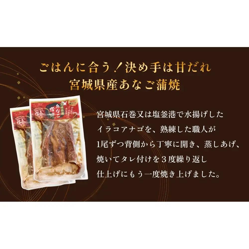 宮城県産あなご蒲焼（1食）12入 12回定期便 毎月配送 冷凍 小分け 穴子 アナゴ 蒲焼き 魚 お魚