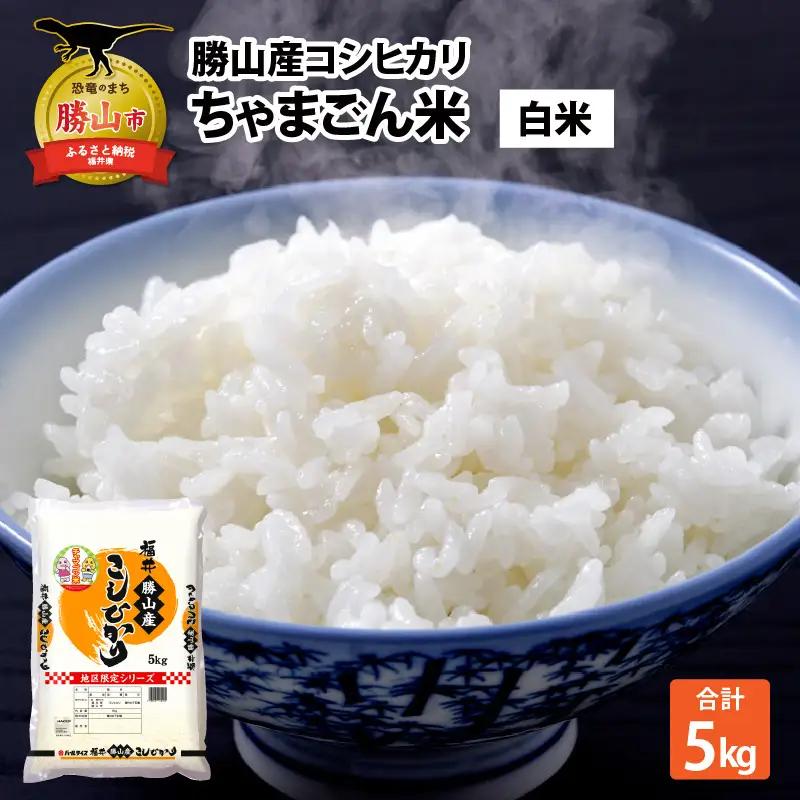 米 コシヒカリ 勝山産 ちゃまごん米 5kg 精米 [A-010004]