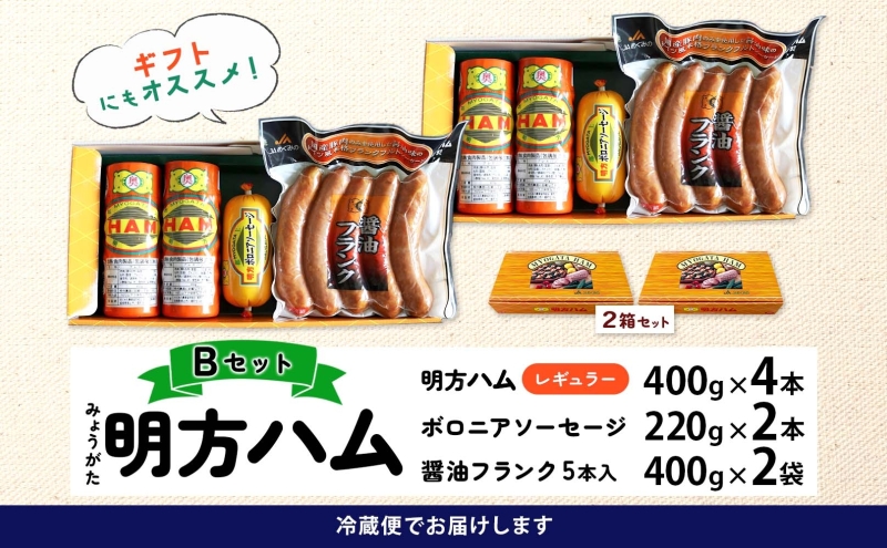 明方 ハム Bセット ボロニア ソーセージ フランクフルト JA ブランド 高級 豚肉 お肉 国産 熟成 塩分 控えめ 天然 豚腸 バーベキュー BBQ 加工品 お取り寄せ 贈答 ギフト 送料無料 め