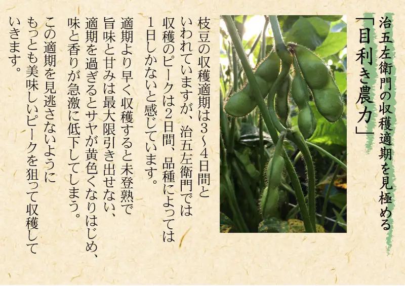 【令和8年産先行予約】【3回定期便】 山形セレクション認定！15代目「治五左衛門」の新鮮だだちゃ豆３種類食べくらべセット