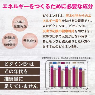 ふるさと納税 日置市 【てまひま堂】ビタミンB群(1袋31粒入り×6袋)鹿児島　日置市　1日1粒目安 |  | 02