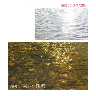 ふるさと納税 三条市 [ベルモント]偏光グラスSoleil クリアダークグレー(ツヤ) トリードベンド 【088S012】 |  | 02