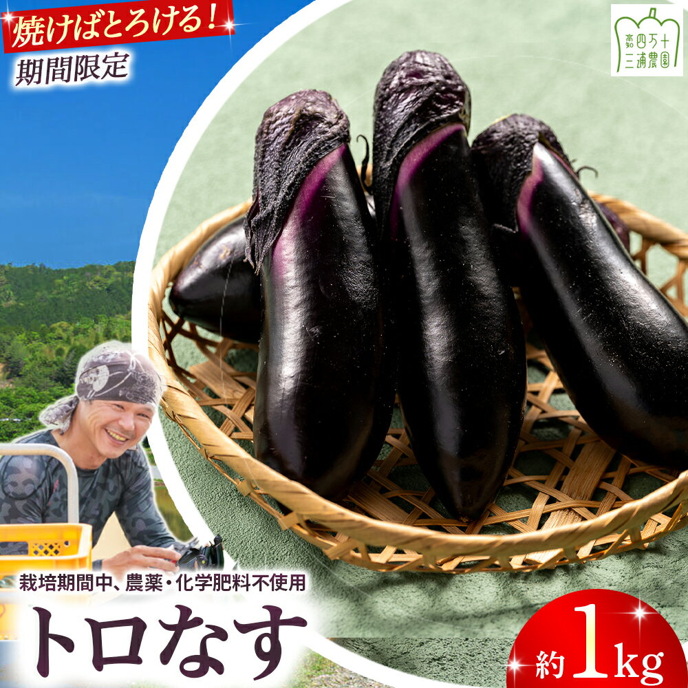 【ふるさと納税】 【期間限定】 焼いてトロける！三浦農園のトロなす1kg 栽培期間中農薬・化学肥料不使用 ／Fms-15 農産物 新鮮 ナス なす 茄子 焼きナス 野菜 大量 農薬不使用 化学肥料不使用