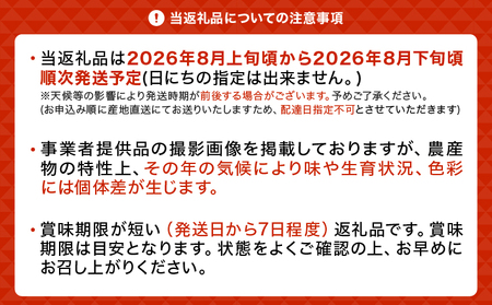 先行予約 富士の輝 1房 約500g 【2026年8月上旬から8月下旬発送予定】