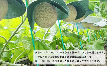 クラウンメロン【上（山等級）】特大玉（1.5kg前後）2玉入り