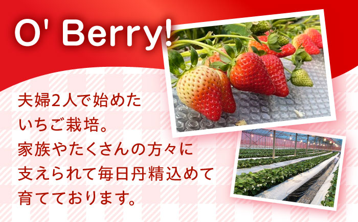 【2回定期便】 【数量限定】いちご「ゆめのか」 約260g × 4P / イチゴ 苺 フルーツ 果物 産地直送 朝摘み / 南島原市 / O\' Berry! [SGA003]