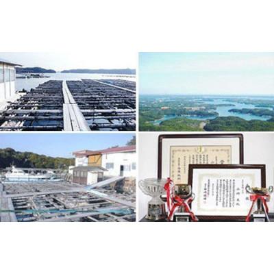 ふるさと納税 志摩市 真珠屋さんの誰もが可愛いK18リング ベビーパール アコヤ本真珠【フリーサイズ】 |  | 03