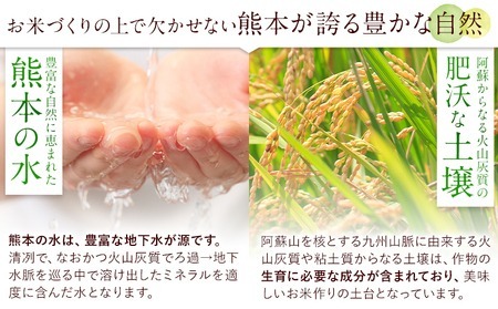 【6ヶ月定期便】阿蘇びより 無洗米 20kg (5kg×4袋)《お申込み月の翌月から出荷開始》 ｜国産米 人気米 熊本県産米 お米 生活応援米