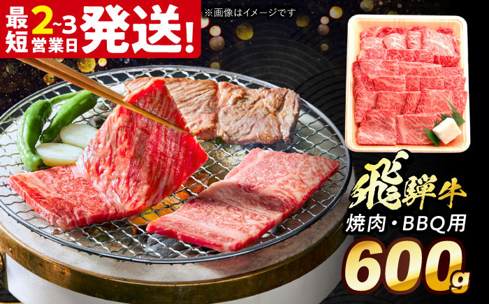 
            飛騨牛 焼肉 BBQ用 600ｇ 多治見市 / 飛騨牛 牛肉 和牛 養老ミート 冷凍 ロース 肩ロース 和牛 ギフト [THG016]
          