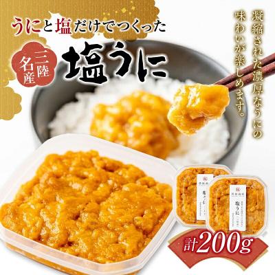 ふるさと納税 山田町 【無添加】三陸山田 塩 うに 100g 2個セット ウニ