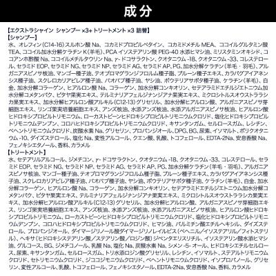 ふるさと納税 滑川町 ダイアン エクストラシャイン シャンプー+トリートメント 詰替6点|19_ntl-120601 |  | 01