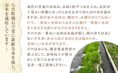 【先行受付】【5回定期便】北海道八雲町熊石産 ゆめぴりか(精白米) 5kg　(令和7年産) | 米 米 米 米 米 米