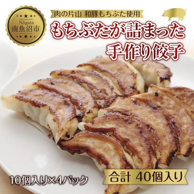 ふるさと納税 南魚沼市 和豚 もちぶたが詰まった 手作り餃子 10個入り×4袋 計40個 冷凍