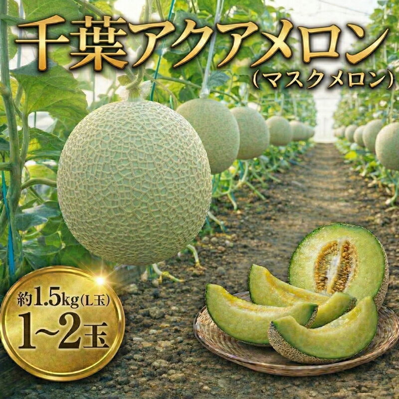 【ふるさと納税】 千葉 アクアメロン 約1.5kg（ L玉 ） × 1玉~2玉 メロン めろん マスクメロン ますくめろん くだもの フルーツ ふるーつ L玉 Lサイズ 大玉 甘い 温室メロン ジューシー 贈答用 ギフト デザート 高糖度 アールスメロン 戸田メロン 千葉県 東金